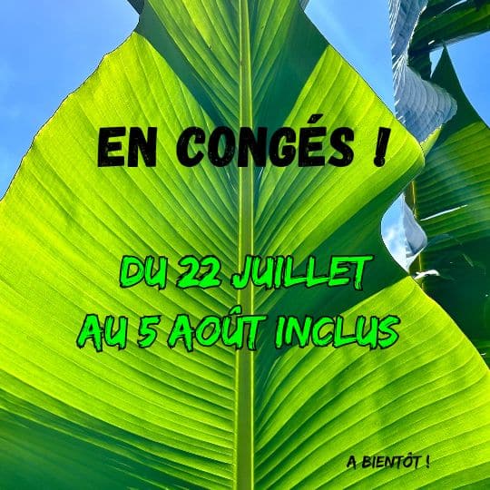 Congès annuel